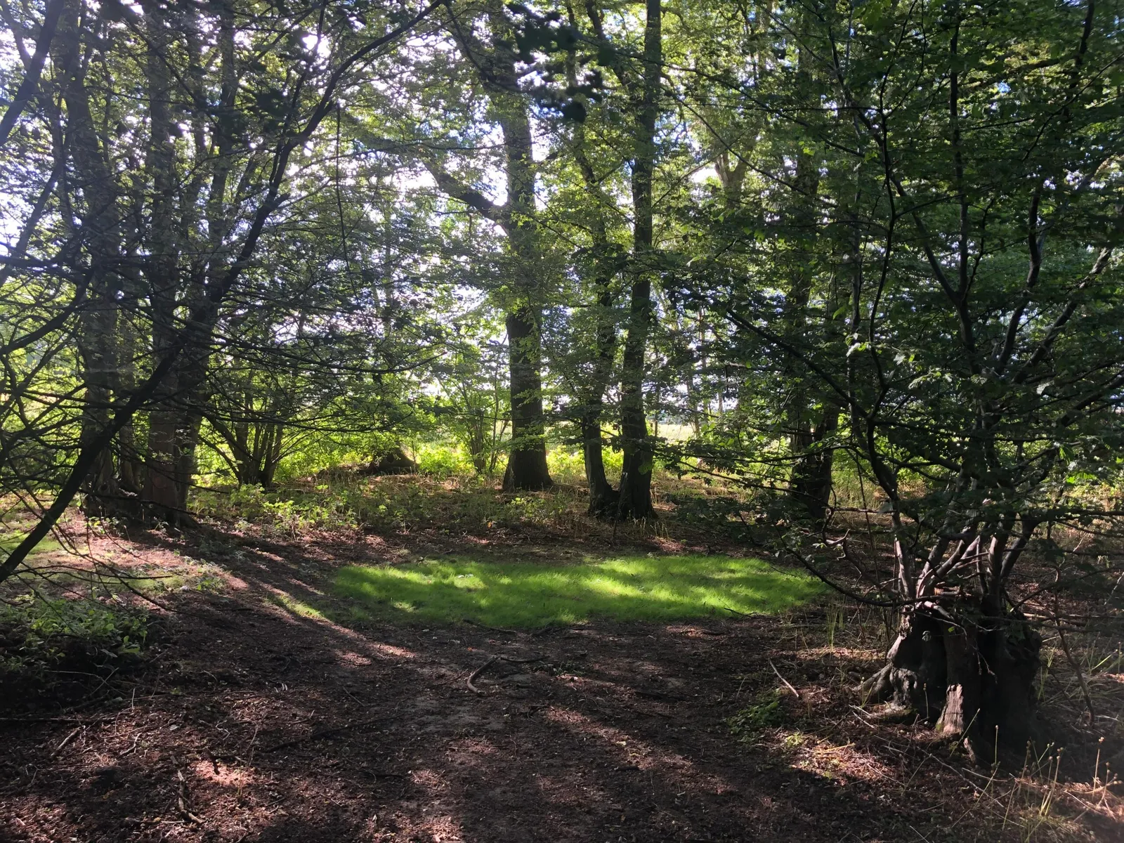MY Therapy